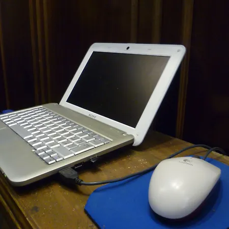 Minerva 포르데노네