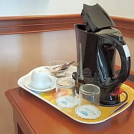 Minerva Hotel 4*