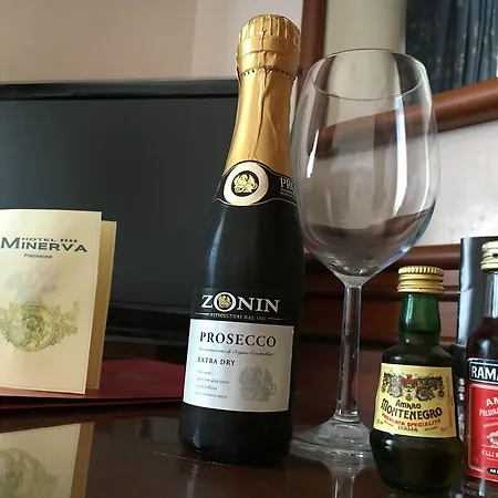 Minerva Hotel 4*