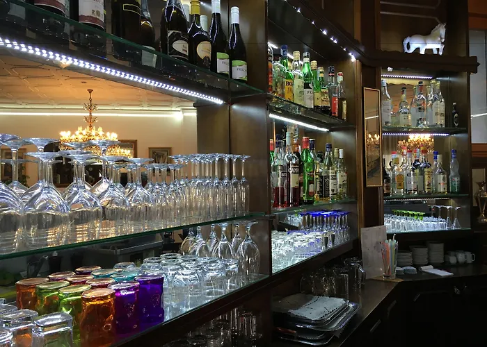 Hotel Minerva Pordenone